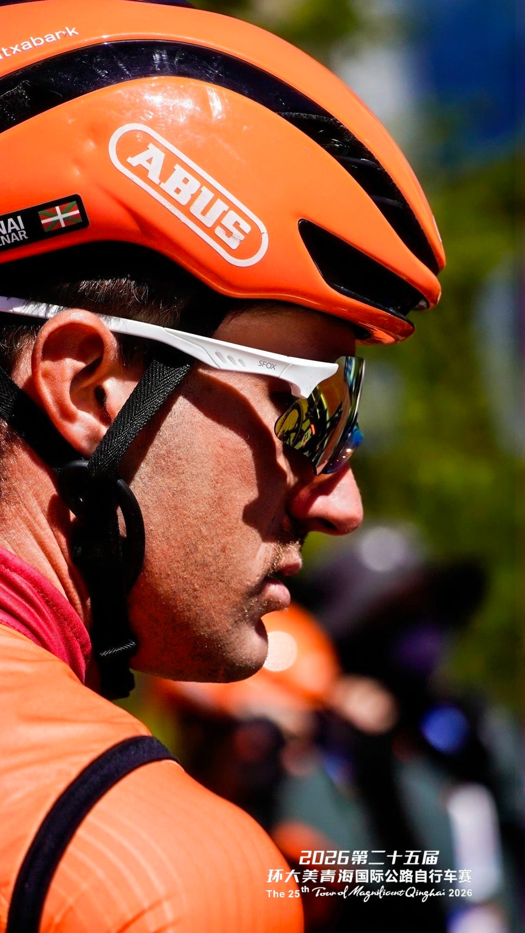 SFOX-Falconarius Pro Cycling Glasses
